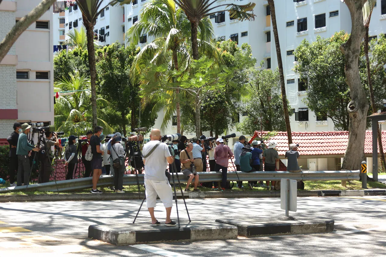 星期一上午，出现猫头鹰幼鸟的地方来了不少人，有附近的居民，也有专程而来的鸟类摄影爱好者。（李姿仪摄）