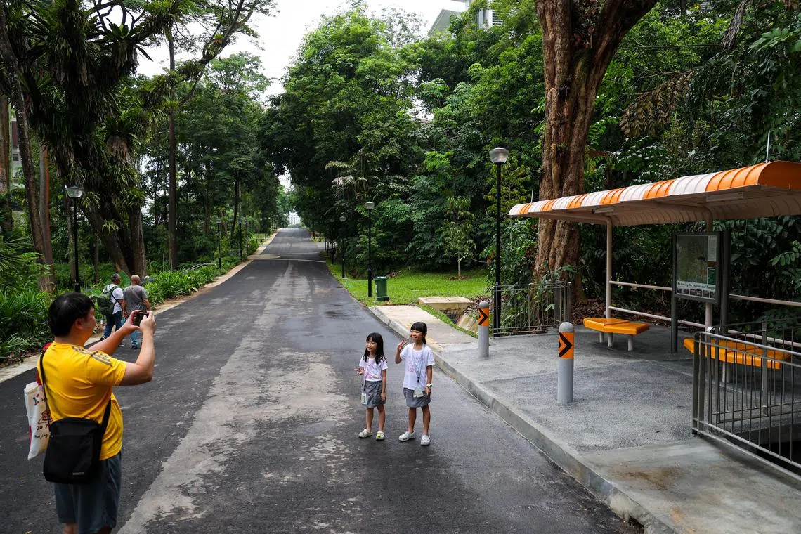 当局在步道原来的巴士车站点，重建起一个旧式巴士站，带给人们昔日情怀。（林明顺摄）