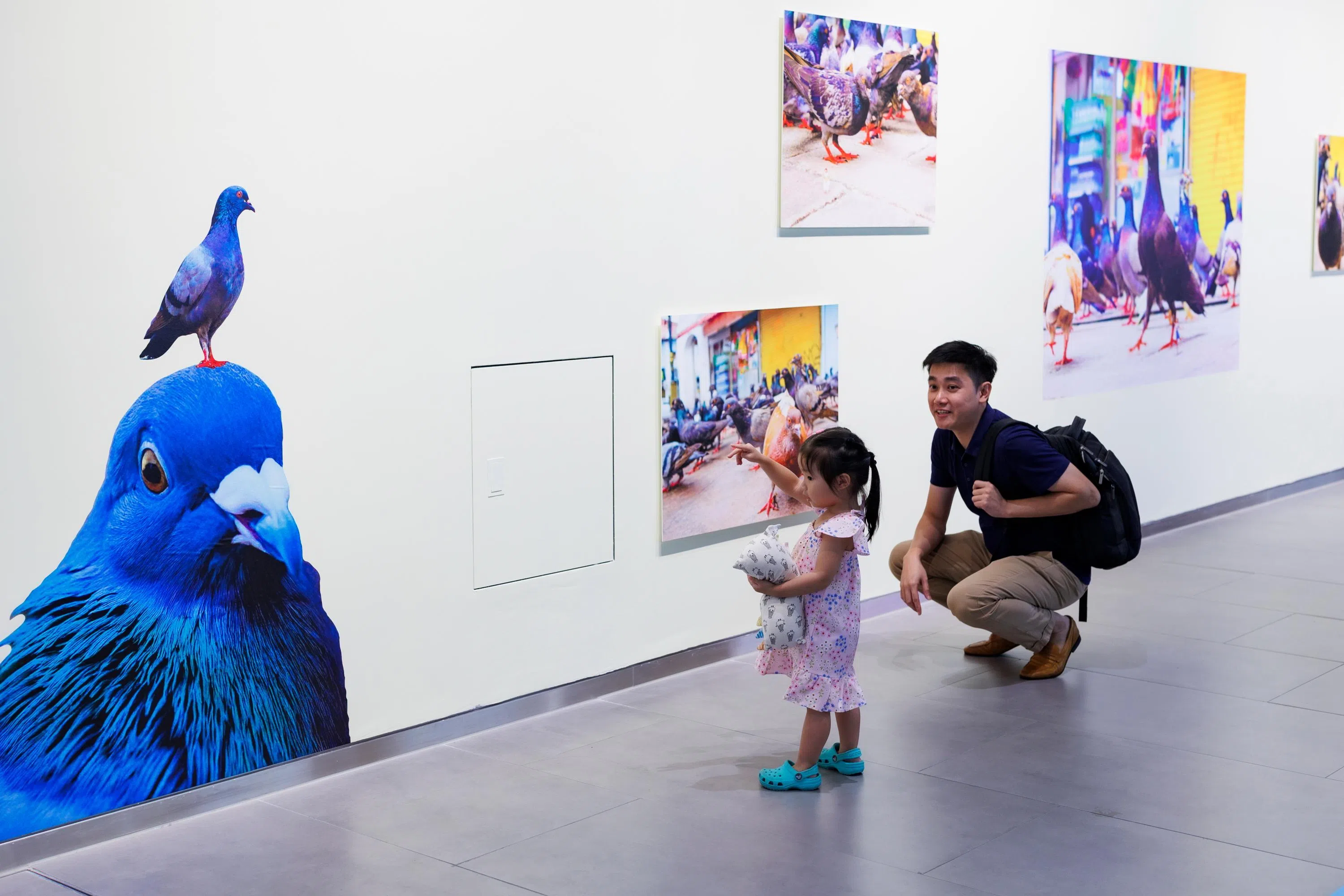 杨智惠的《鸽城》（2025）摄影系列吸引路过者停下观赏。（林树泉摄）