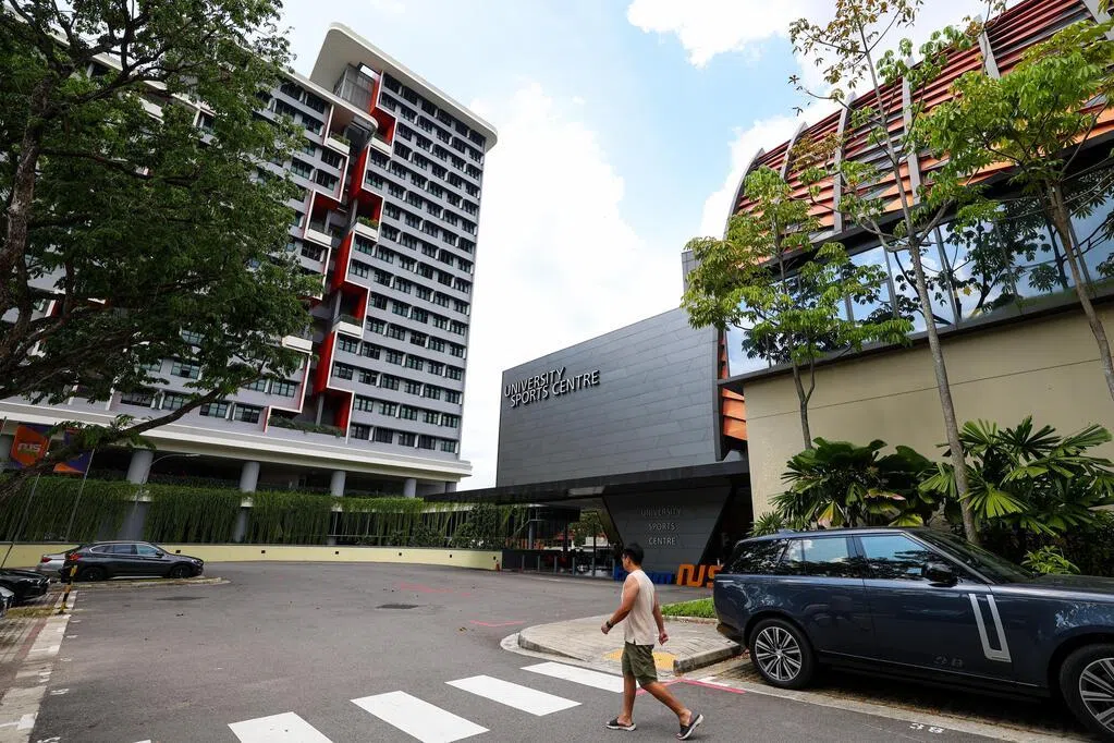 白士泮陈柏珲：当AI重塑世界 大学更要守住人文与伦理