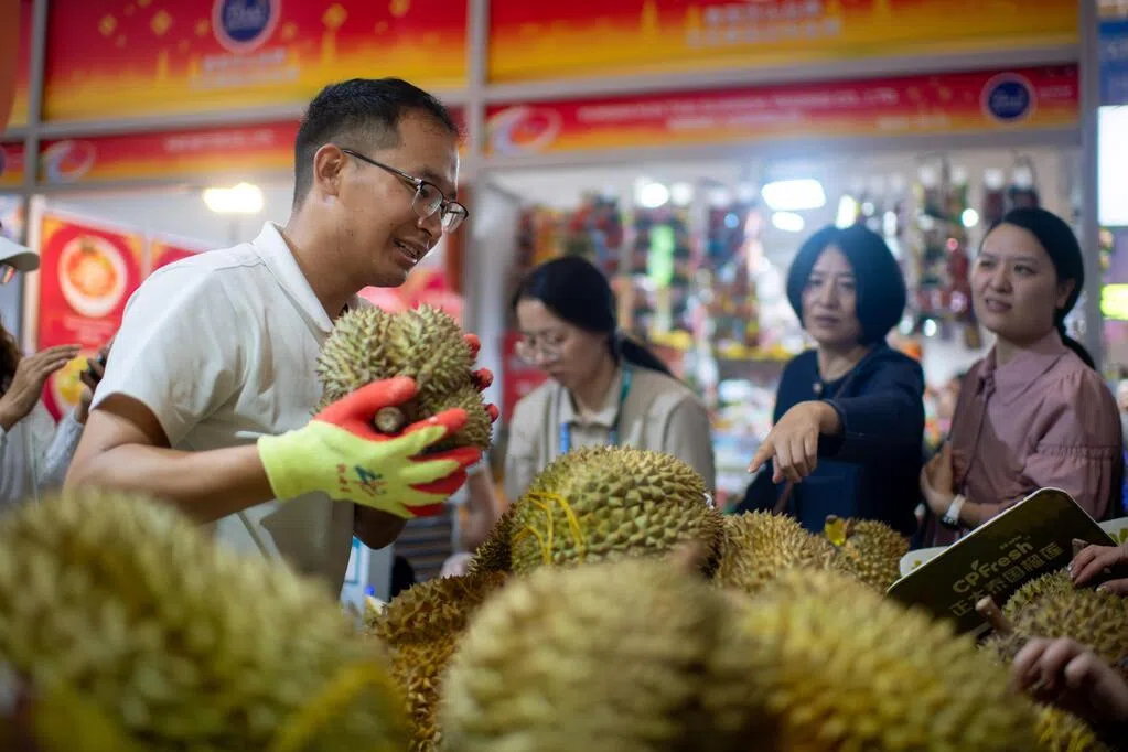 特稿：东南亚产量激增 中国“榴梿自由”分化