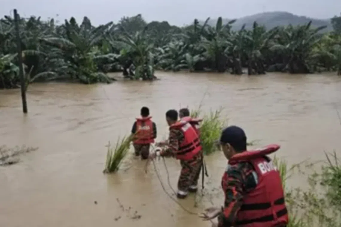 一名妇女和她的一对儿女不幸受洪水围困，情势危急。（中国报）