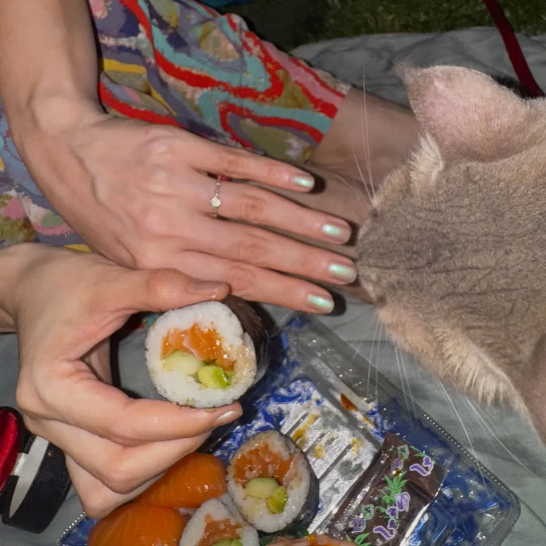 两求婚成功后秀婚戒，爱猫和寿司成了“见证人”。（取自向洋IG）