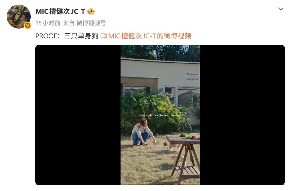 檀健次7日傍晚分享一段与两只狗儿玩耍的短片，写下“Proof：三只单身狗”，间接澄清自己目前单身。（取自檀健次微博）