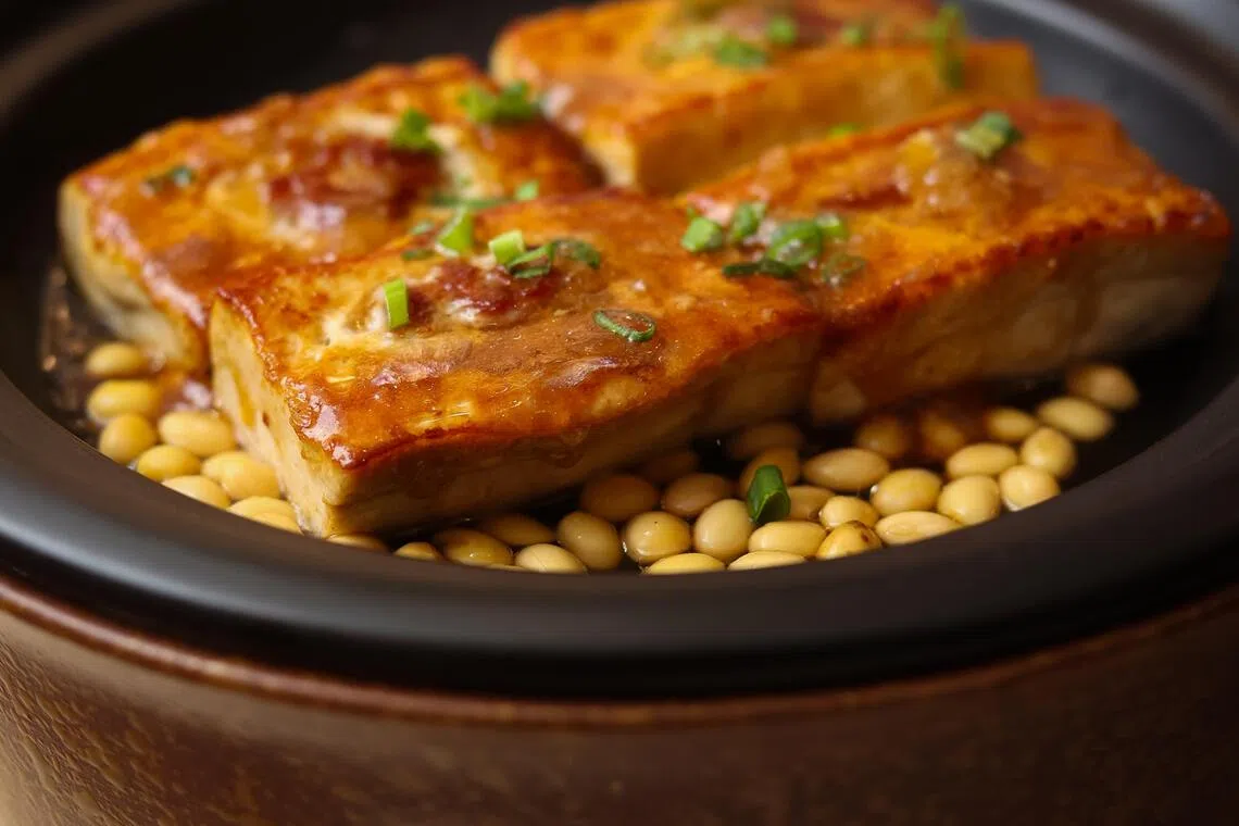 “客语”的油水煎酿豆腐，自制豆腐赤褐色，嫩滑可口。（龙国雄摄）