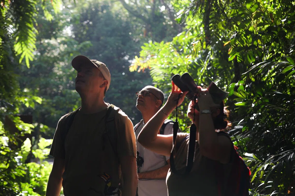 参赛者在双溪布洛湿地保护区找鸟儿的身影。（游甯稀摄）