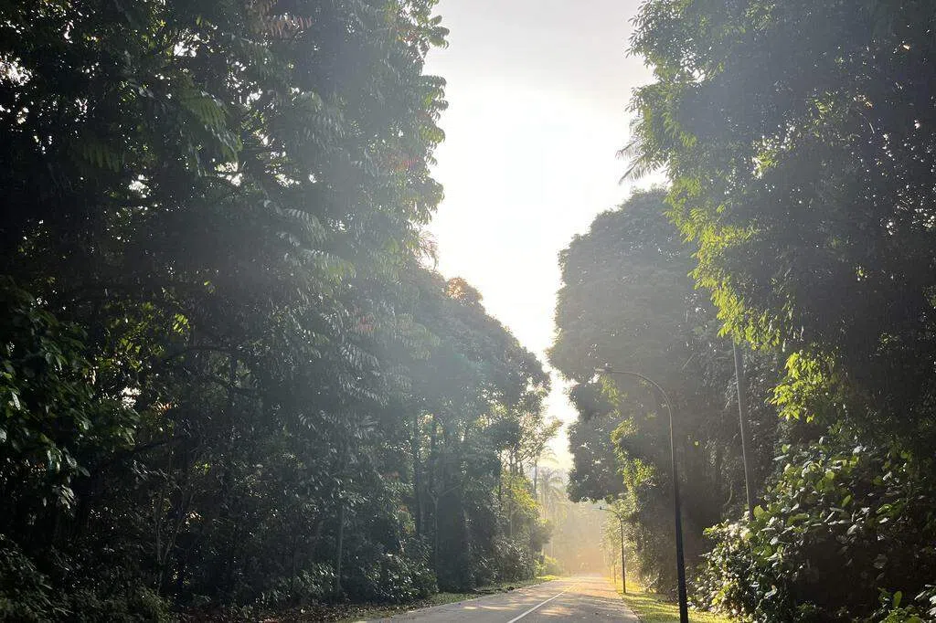 走在铁路旁   追忆火车远去的似水流年