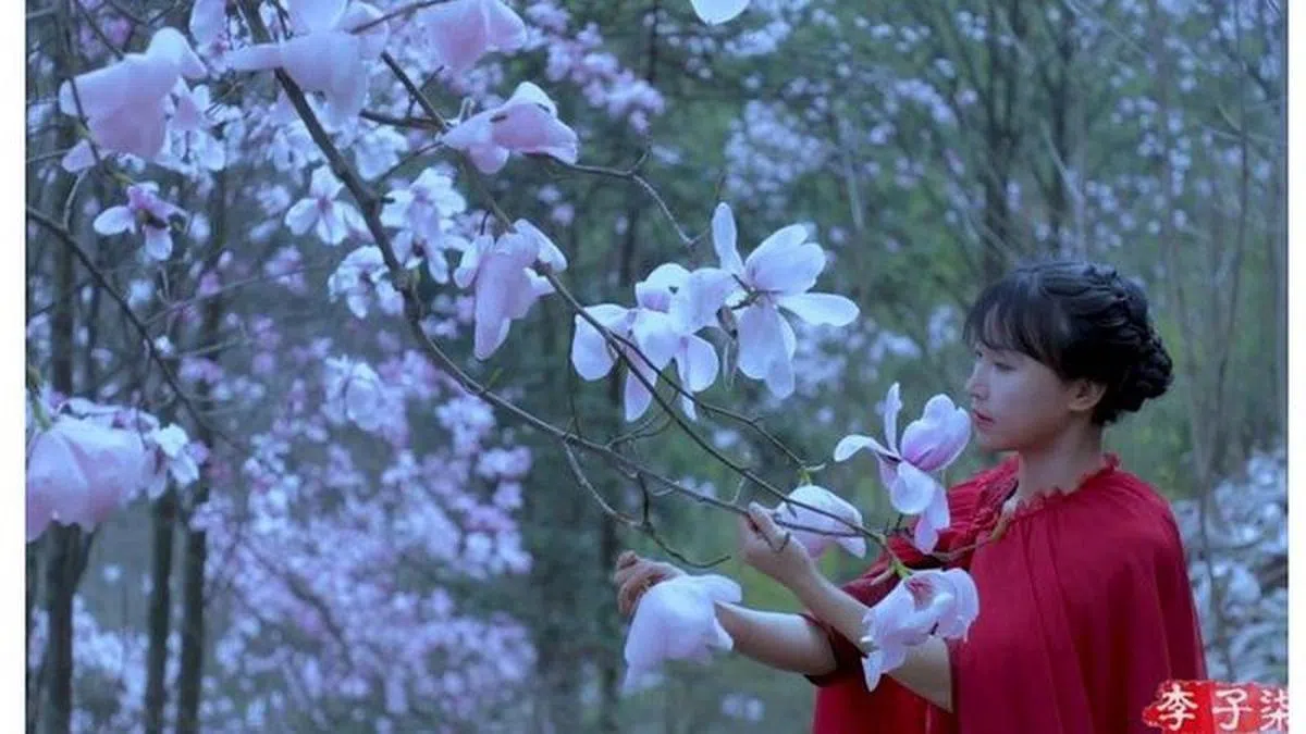 李子柒在采集花瓣时，身穿红色古装。（视频截图）