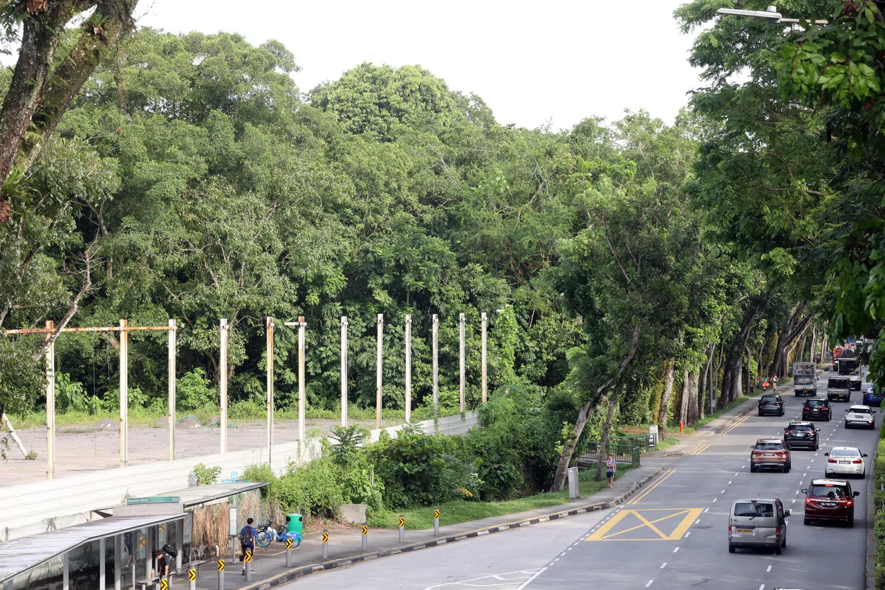 杜尼安路地段靠近多所名校，而且交通方便。这幅私宅地段可建造370个单位。（邝启聪摄）