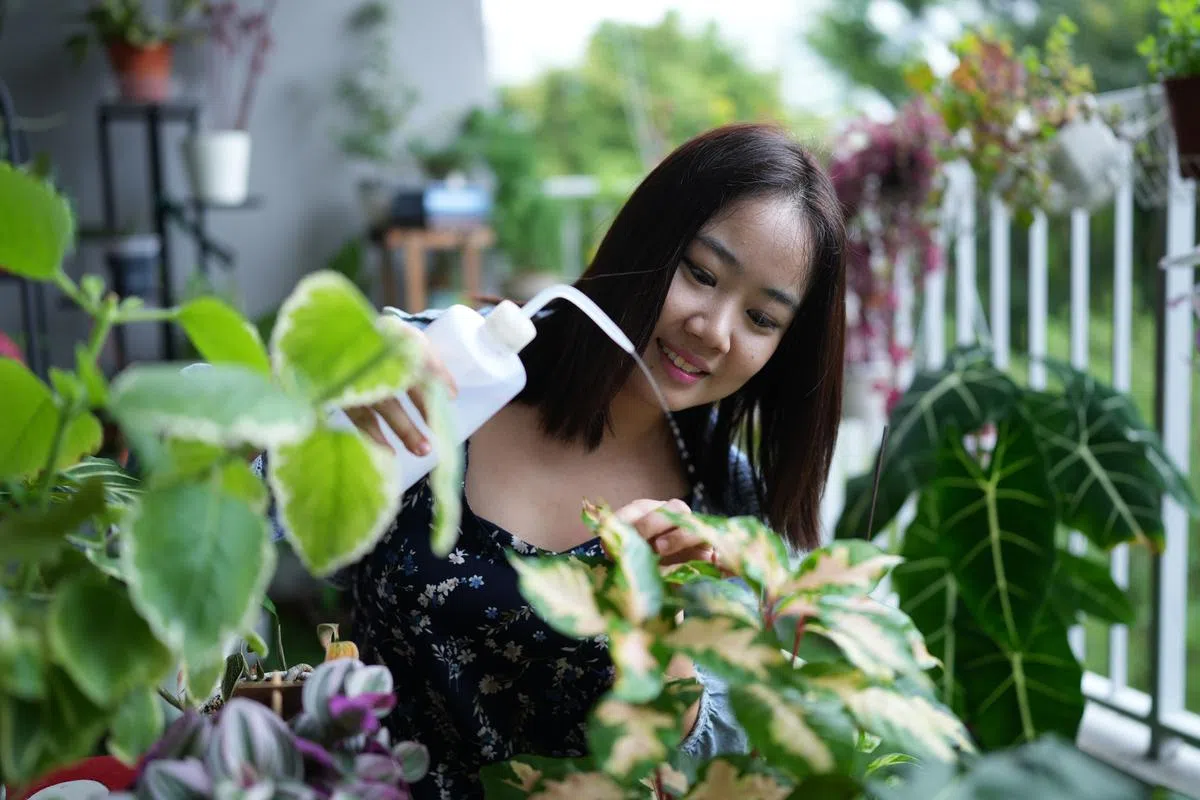 李皜忆视植物为生活的调剂品。（谢智扬摄）