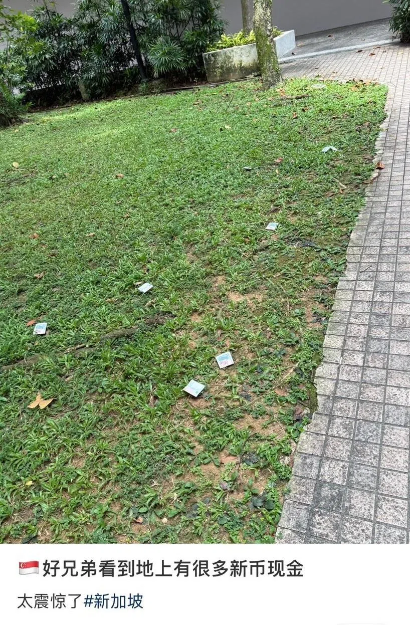 看到地上这么多钱，可别以为是天降横财。（取自小红书）