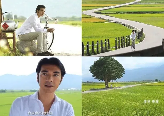 金城武2013年拍摄广告的取景地也有大树被命名“金城武树”。（互联网）