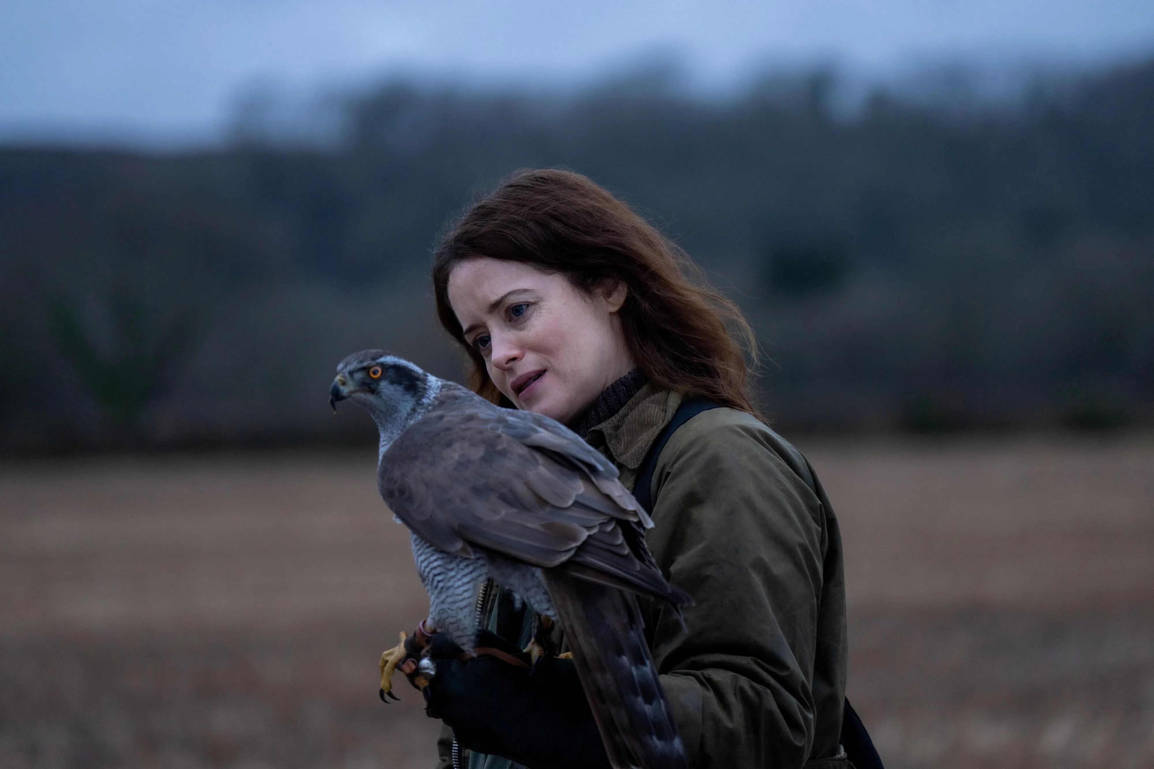 片中女主角通过驯养一只苍鹰，走出抑郁深渊。（邵氏机构提供）