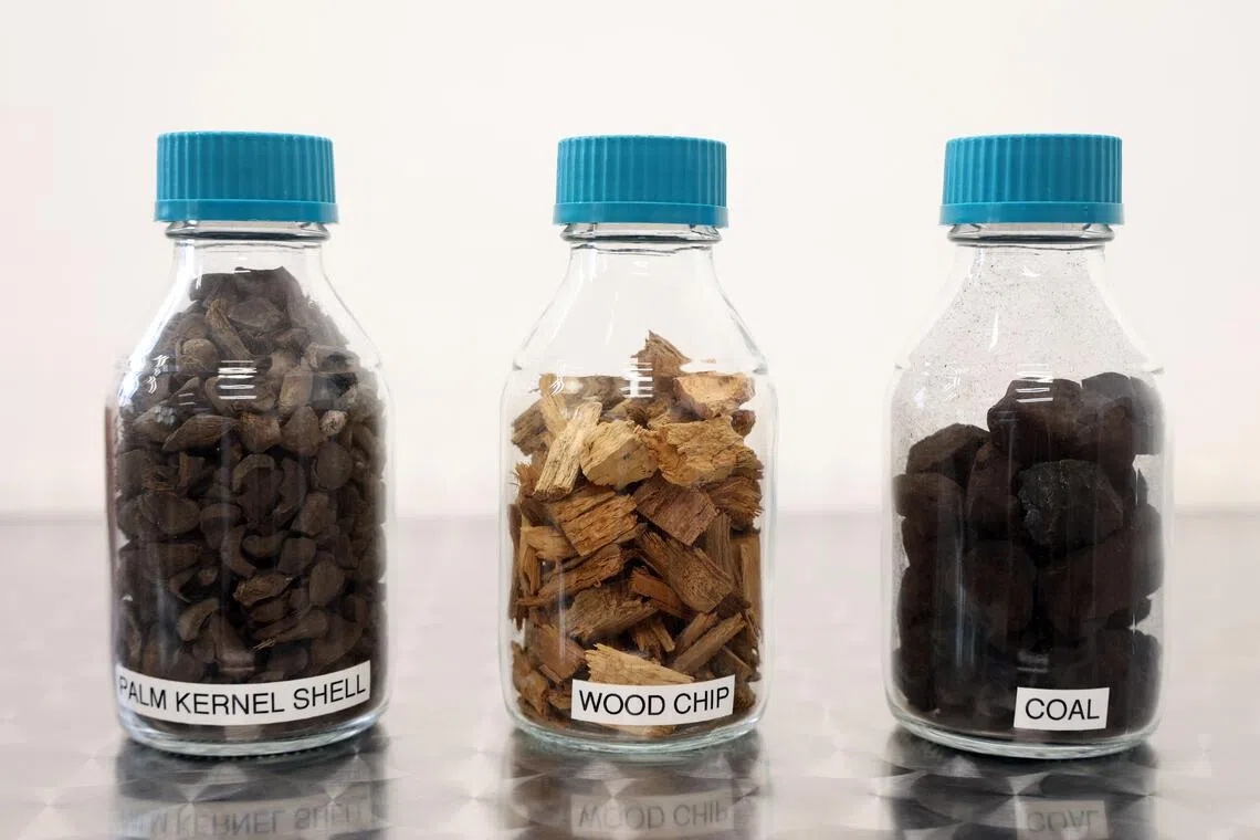 本地唯一燃煤发电厂将于2028年全部转用棕榈壳（左一）和木屑（左二）等可再生生物质为燃料，替代目前的煤炭（右一）。（邝启聪摄）