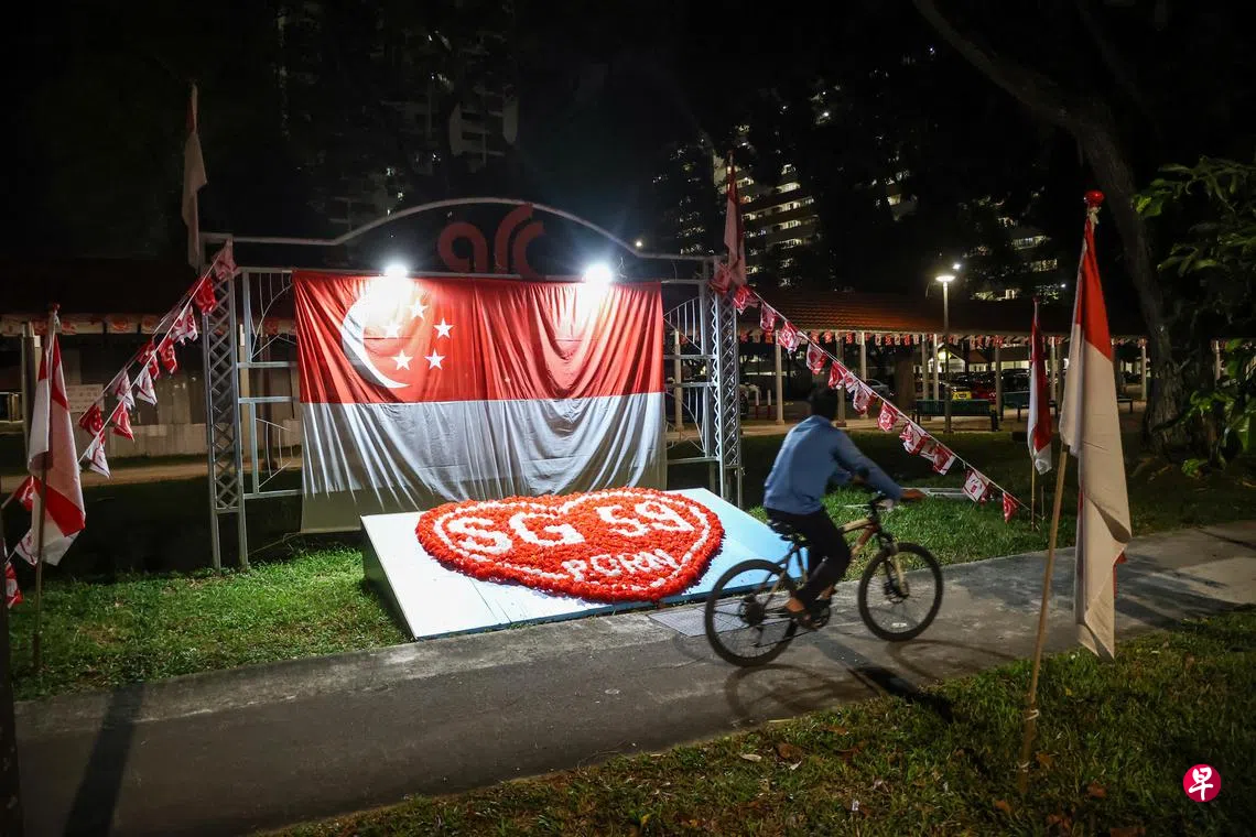 涉蓄意破坏国庆装饰23岁男子接受调查| 联合早报