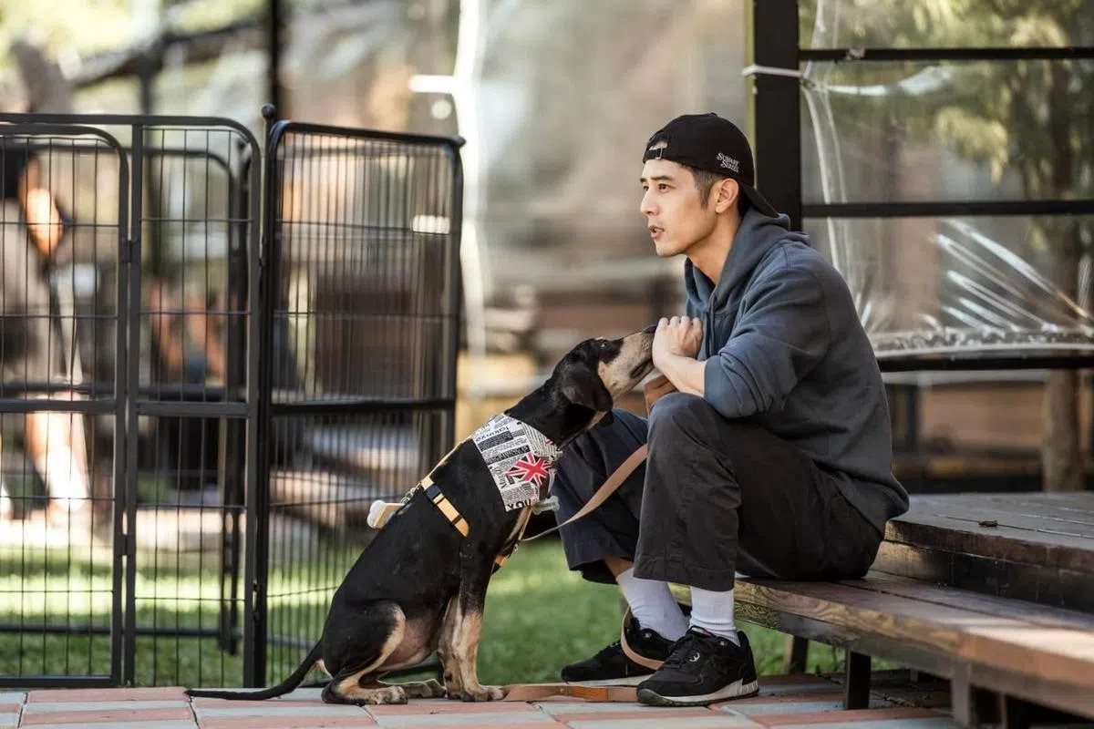 大暖男胡宇威把Ozzy训练得最好。（互联网）