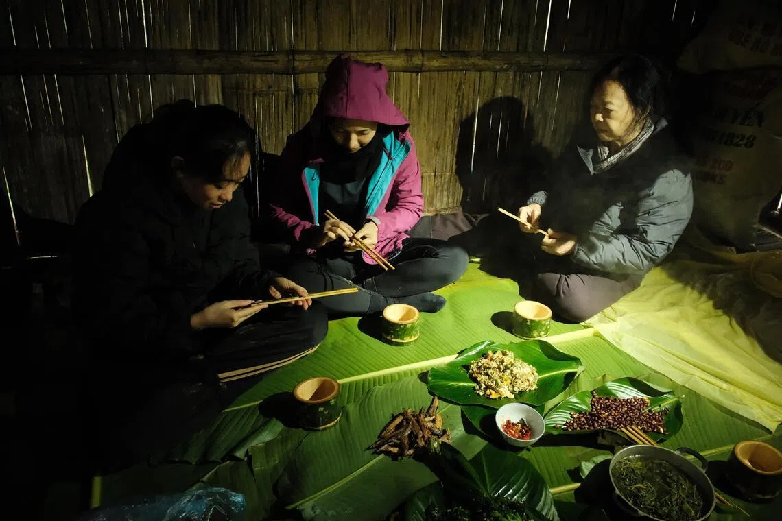 当地居民以竹为具，和土地、自然关系密切。（化生艺术团提供）