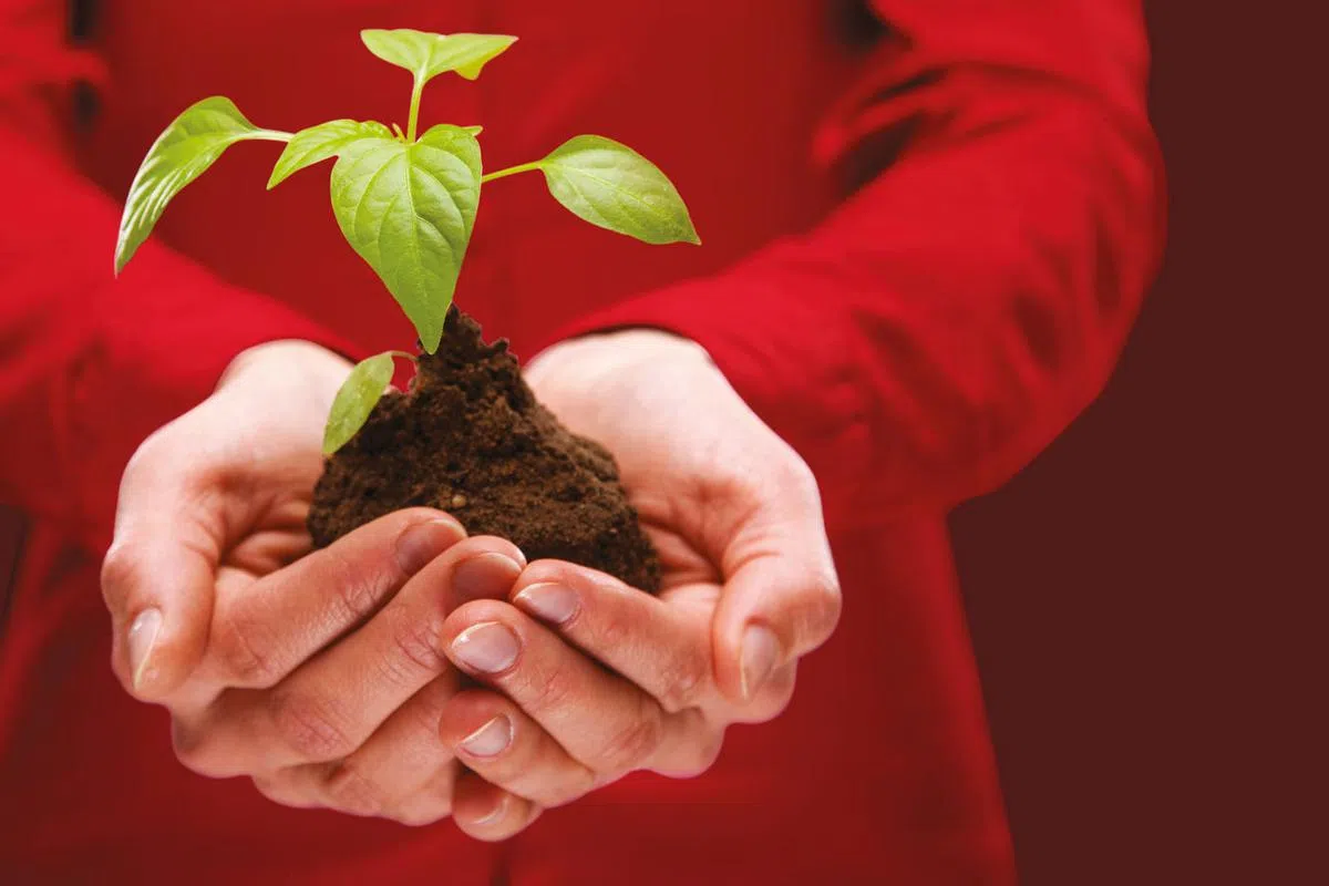 汇丰银行资产管理持续投资的调查显示，冠病疫情让许多投资者重新思考自己的投资方向，其中约七成的本地投资者会对ESG元素加以考虑。（图/汇丰银行提供）