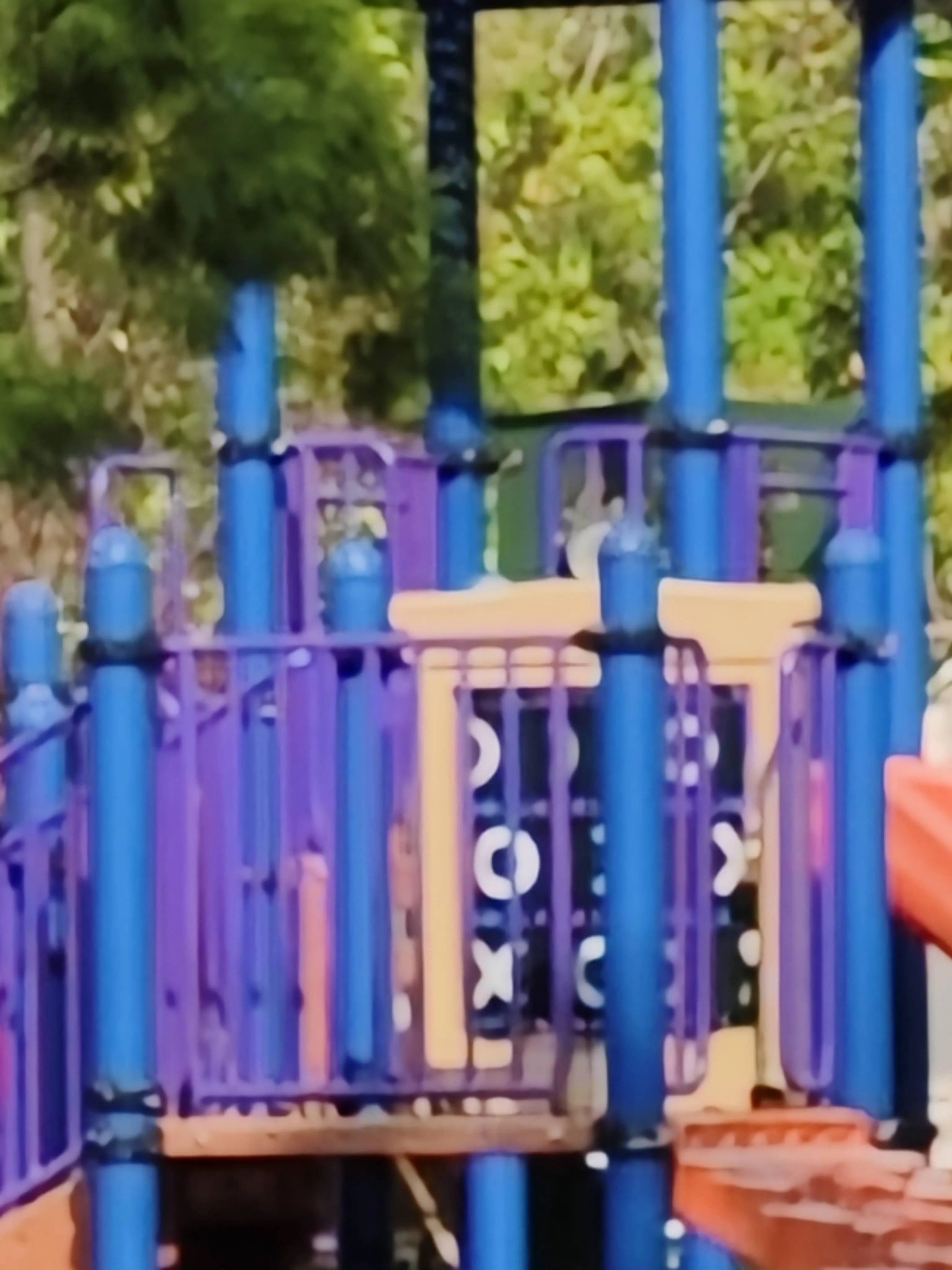 手机没有长焦镜头，20倍数码变焦的效果不理想。（黄少伟摄）