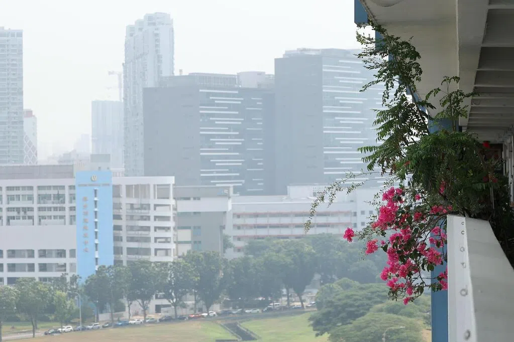 加里曼丹烟霾正飘来 本地空气质量料处于中等至低度不健康水平