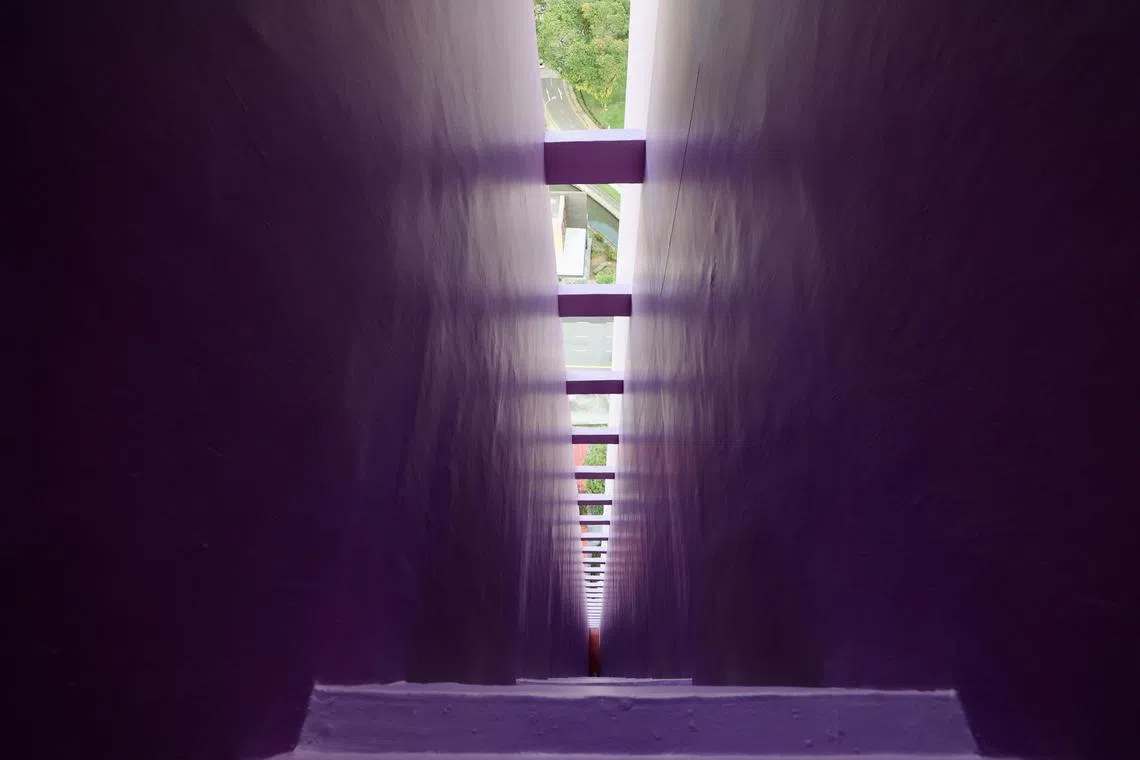 有居民反映，电梯大厅外墙使用较深的紫色涂料，使得地方显得更暗。（邝启聪摄）