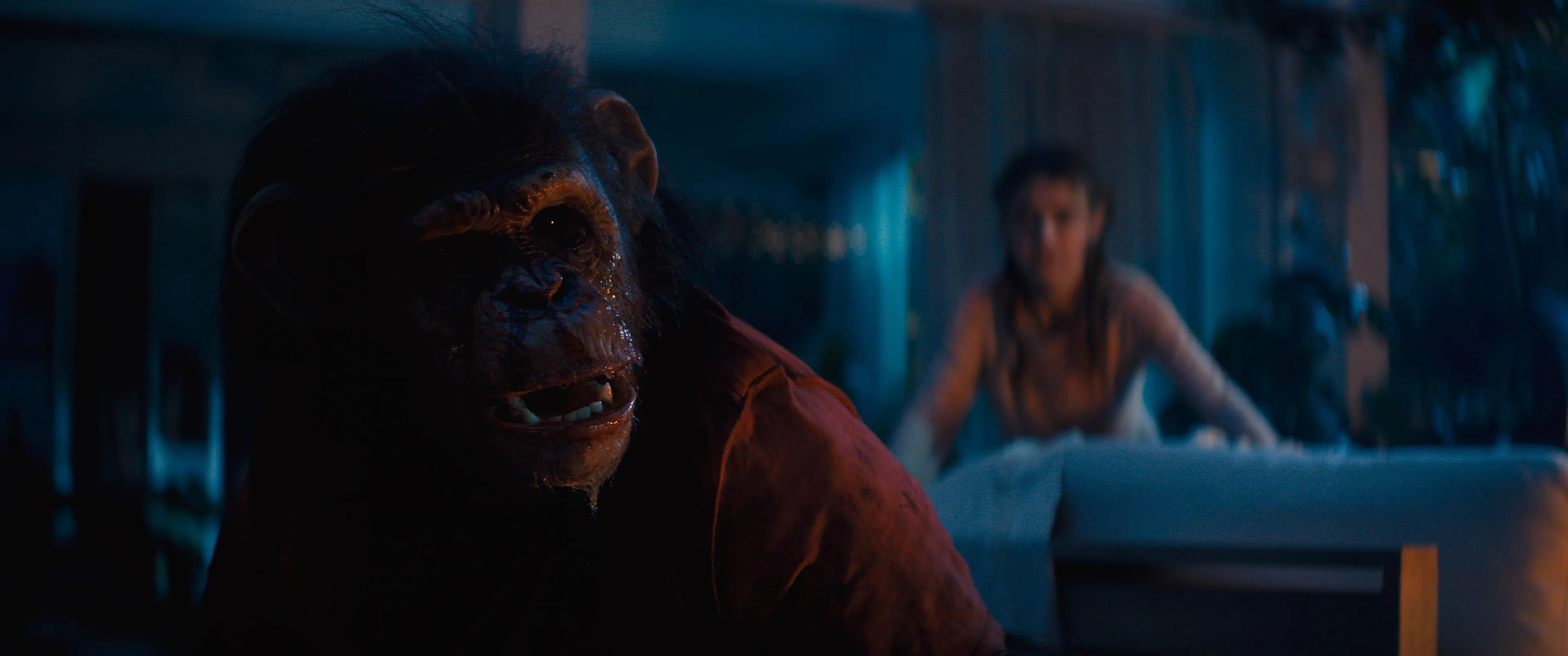 《猩疯血雨》中的黑猩猩由擅长肢体表演的Miguel Torres Umba扮演。（UIP联邦影业提供）