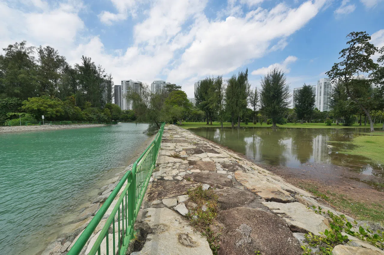 大潮退去后，绿地仍积着大滩的水。（谢智扬摄）