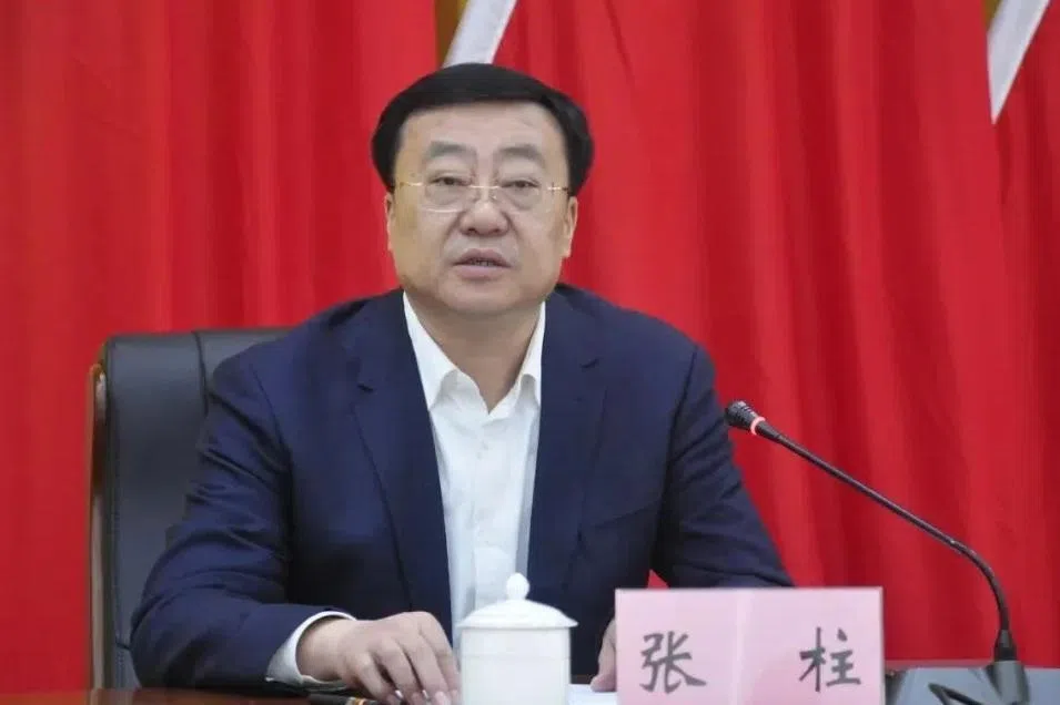 新疆党委副书记张柱任农业农村部党组书记