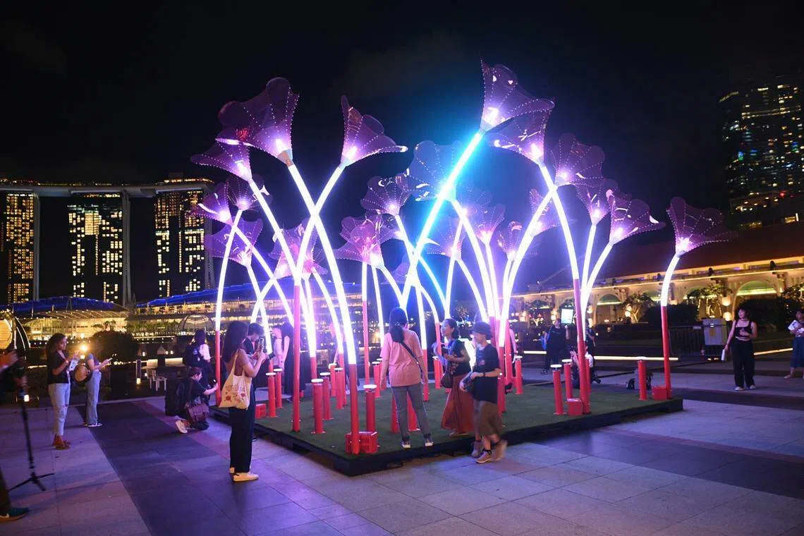 “Trumpet Flowers“（The Straits Times）