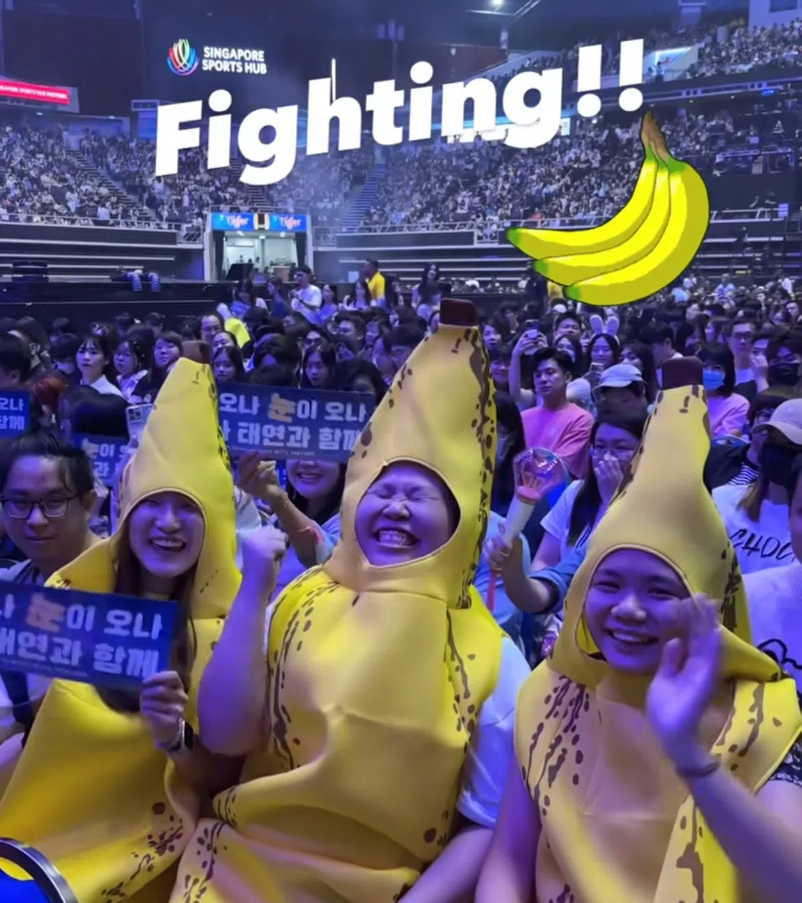 粉丝发挥创意打扮成香蕉，成功吸引偶像的注意。（SM娱乐太妍官方IG截图）