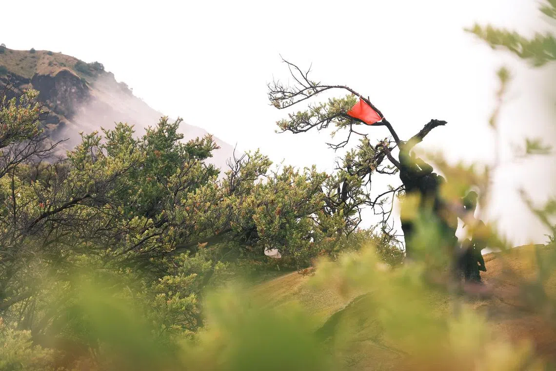 当地政府在火山口周围放置红色旗帜，劝阻游客越界行走。根据火山活动的情况，这些旗帜有时会出现在登山中途路段。（钟俊鸿摄）