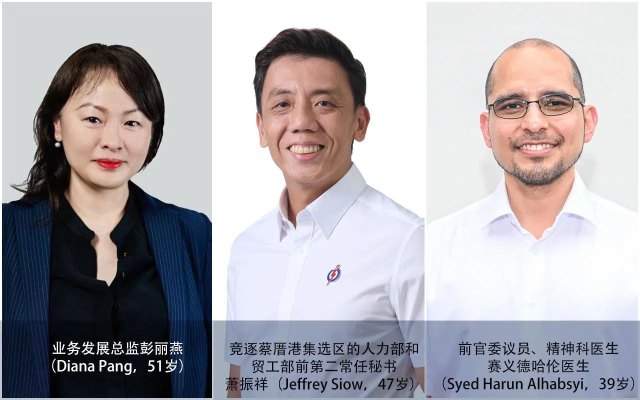 业务发展总监彭丽燕（Diana Pang，51岁）；
竞逐蔡厝港集选区的人力部和贸工部前第二常任秘书萧振祥（Jeffrey Siow，47岁）；
前官委议员、精神科医生赛义德哈伦医生（Syed Harun Alhabsyi，39岁）。（档案照片）