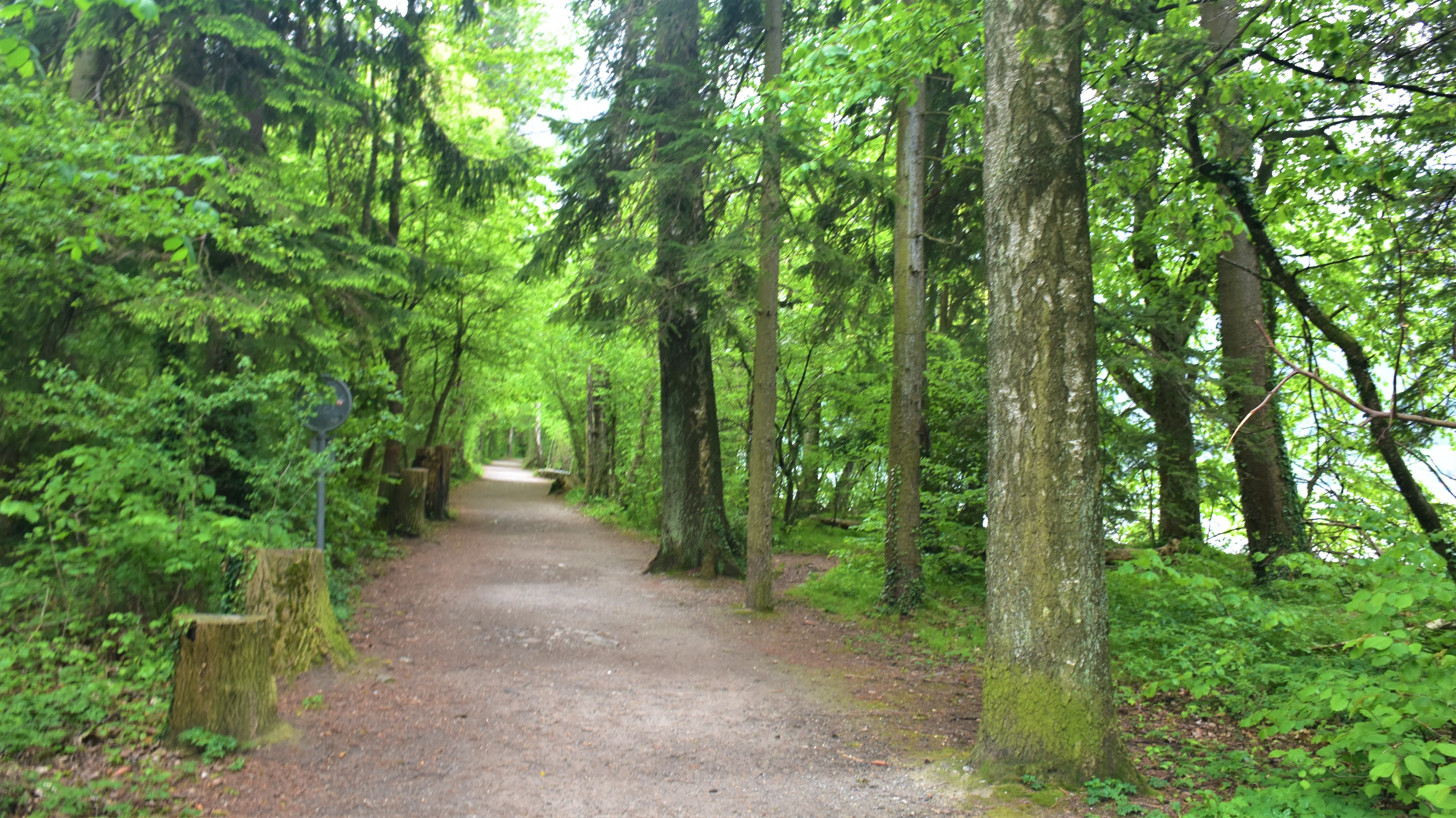 图恩湖边的健行步道。（莞尔摄）