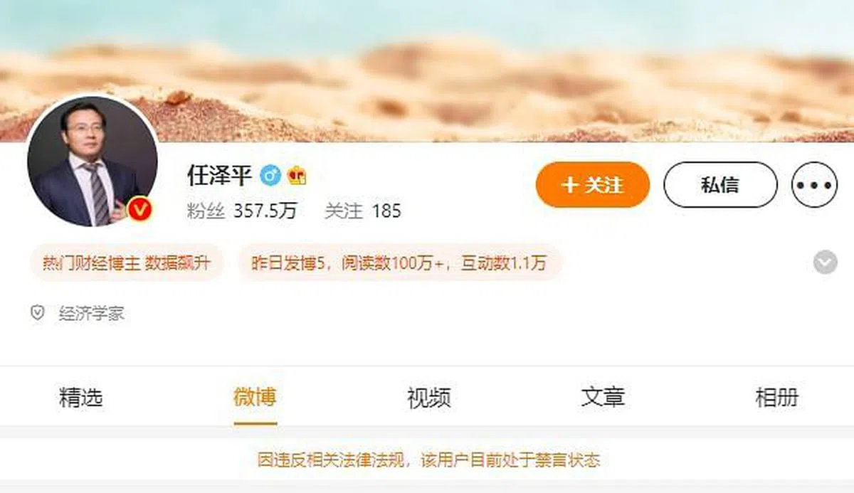 任泽平拥有357.3万粉丝的微博账号昨晚突然被禁言。（微博截图）