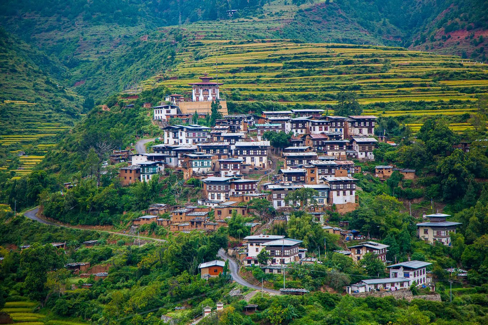 统一的建筑风格，塑造出不丹和谐的视觉风貌。（仁增·林杜普提供）