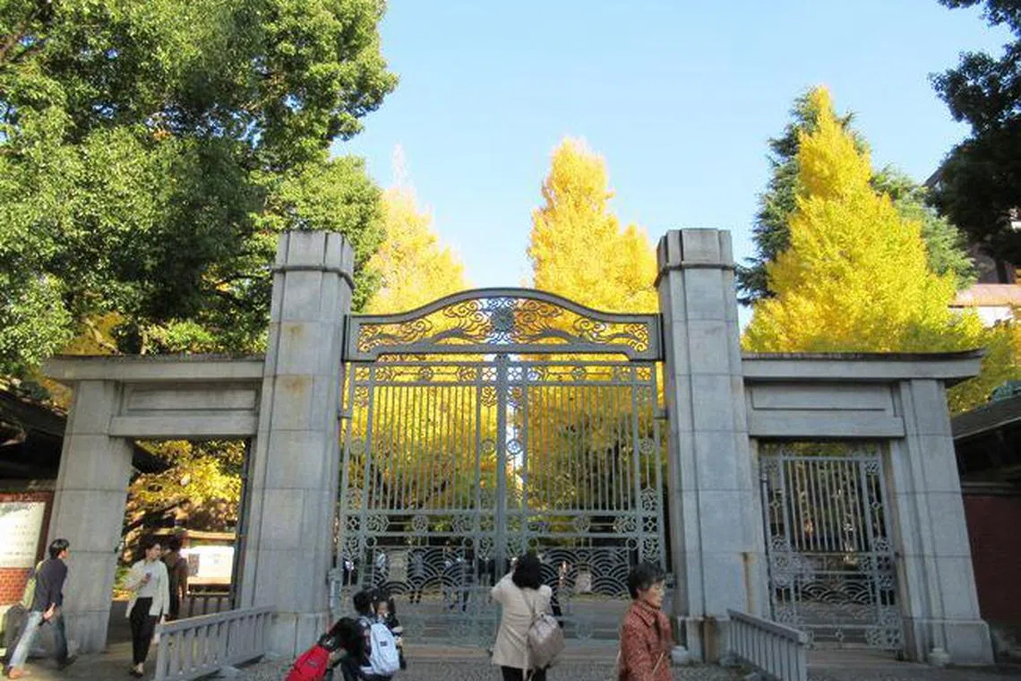 文京区优质教育配套推高楼价 新建高楼过剩引发市场争议