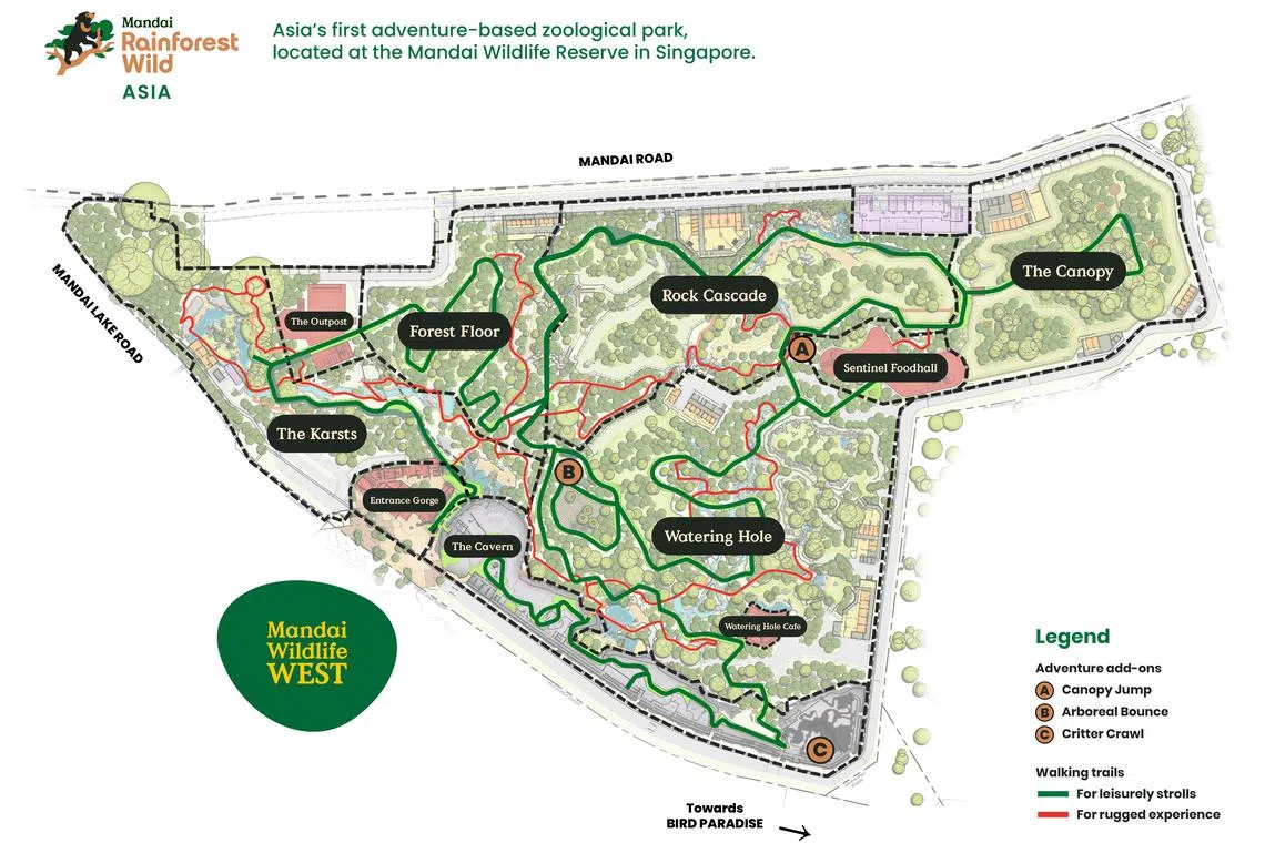 全新的雨林探险园（Rainforest Wild Asia）亚洲区占地13公顷，有10个不同的区域。（万态保育集团提供）
