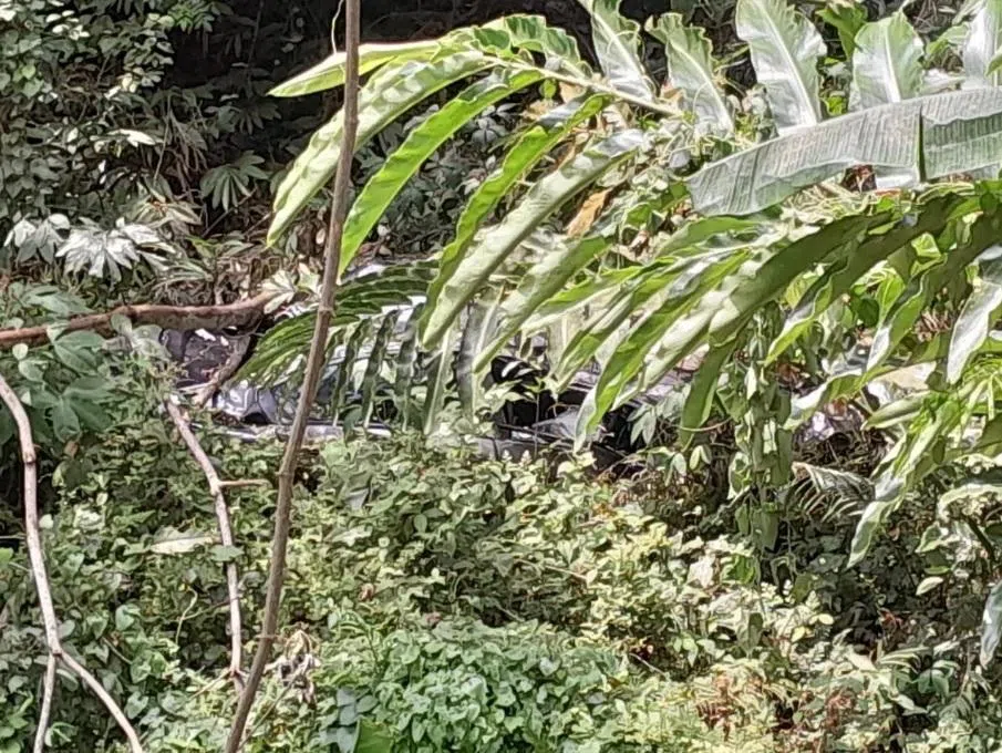 有公众发现深谷下有一辆轿车，于是立即通报当地消拯局。（截图自东方日报网）