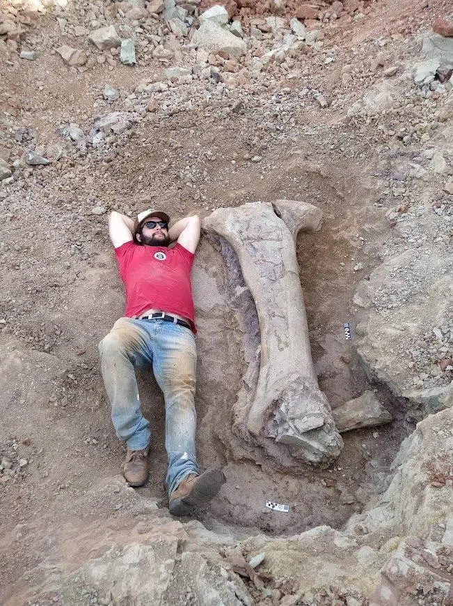 圣玛丽亚联邦大学（UFSM）的古生物学家莱昂纳多·克尔伯躺在一块恐龙骨骼化石旁边。（路透社）