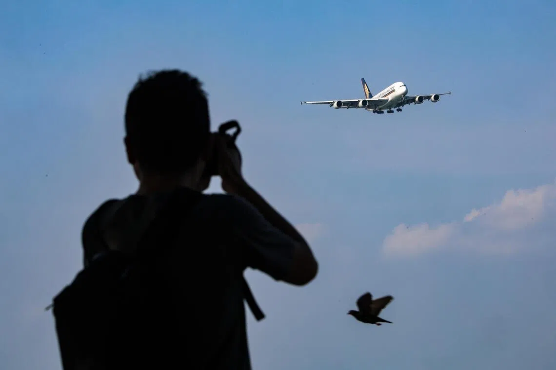 镜头对准天空，飞机与飞鸟一同划过，共享一片蓝天。（关俊威摄）