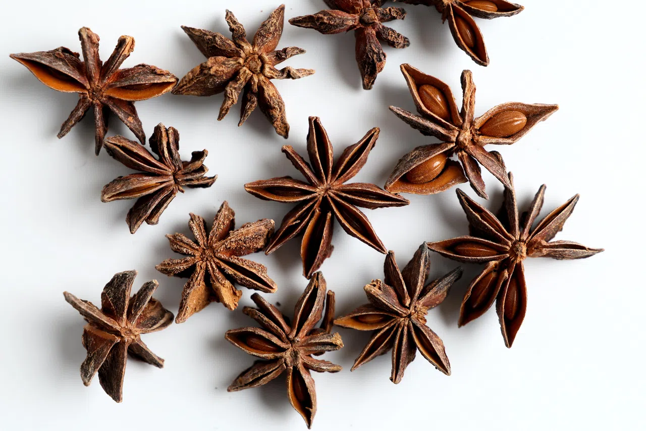 中医认为八角味辛、性温，归肾、脾、胃经，具温阳散寒、理气止痛之功效。（龙国雄摄）