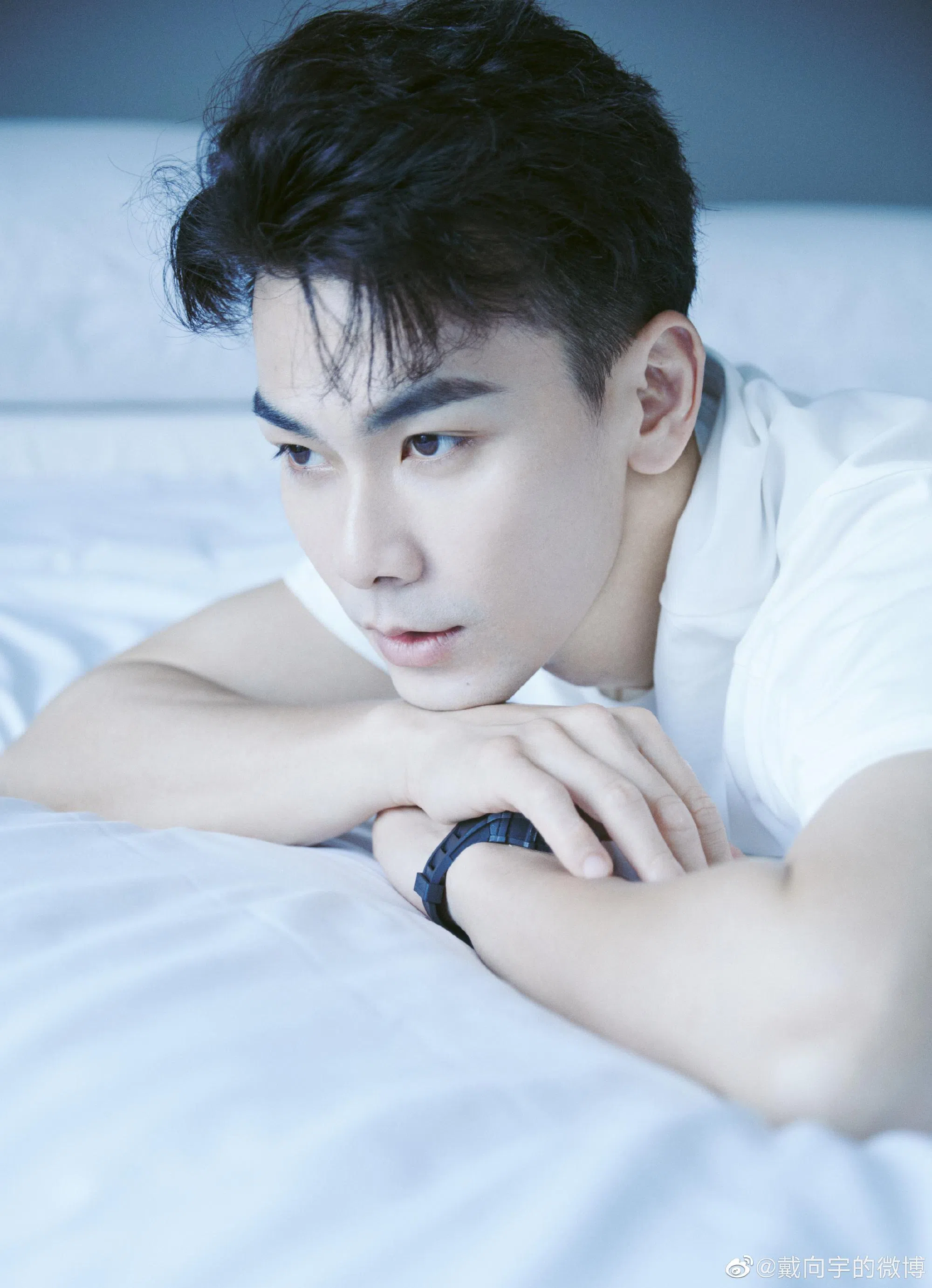 戴向宇无端被他人的闲聊胡说连累到差点形象扫地。（取自艺人微博）