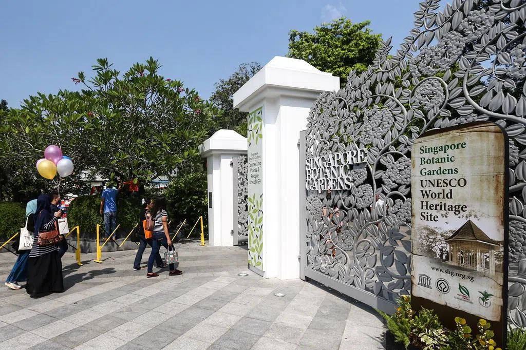 从植物园到滨海湾花园 10公里绿步道无缝衔接