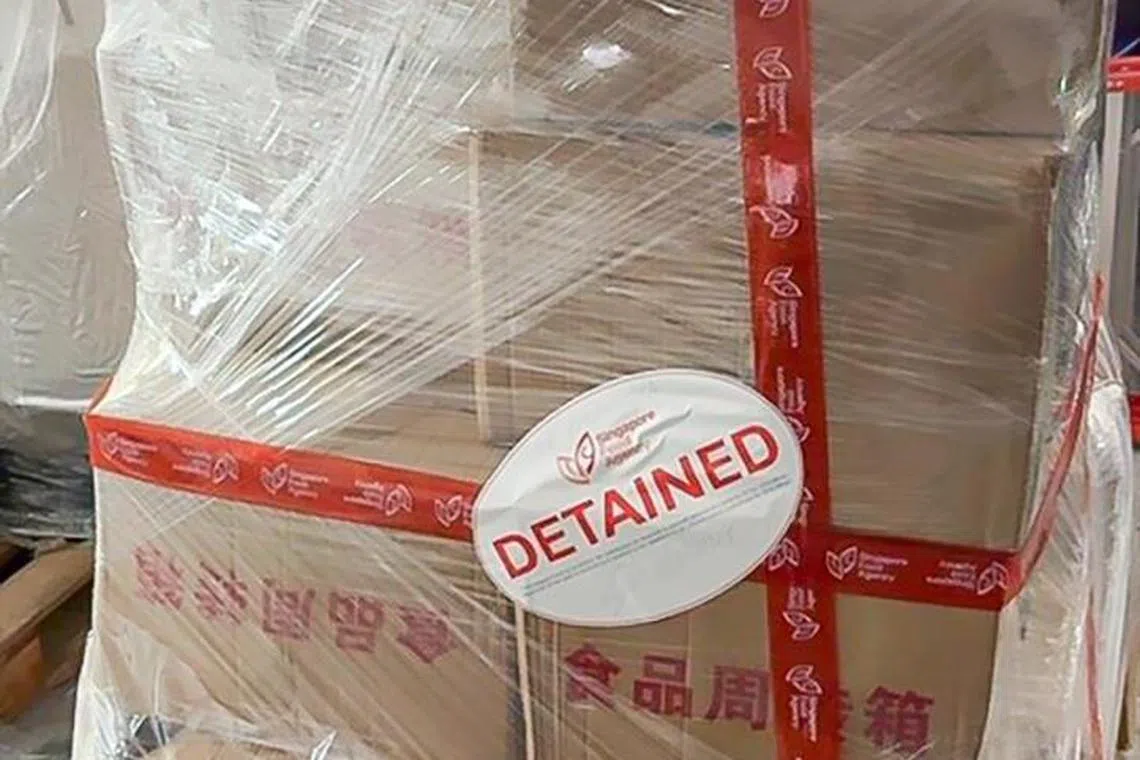 移民与关卡局人员查获没有报关的肉类食品，把案件交由新加坡食品局跟进调查。（新加坡食品局提供）