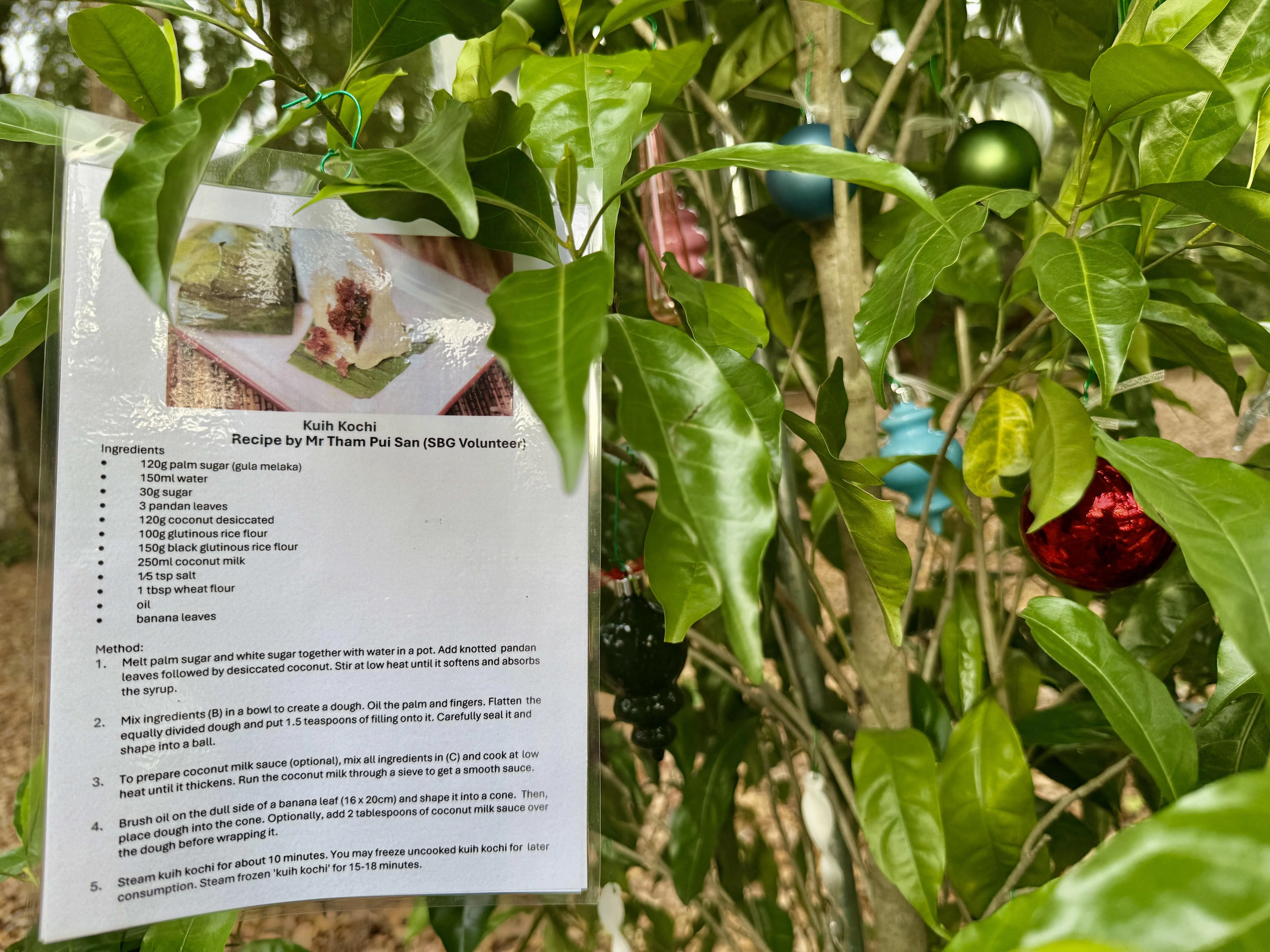 圣诞树上藏着惊喜——三角椰丝粿（kuih kochi）食谱。（陈映蓁摄）