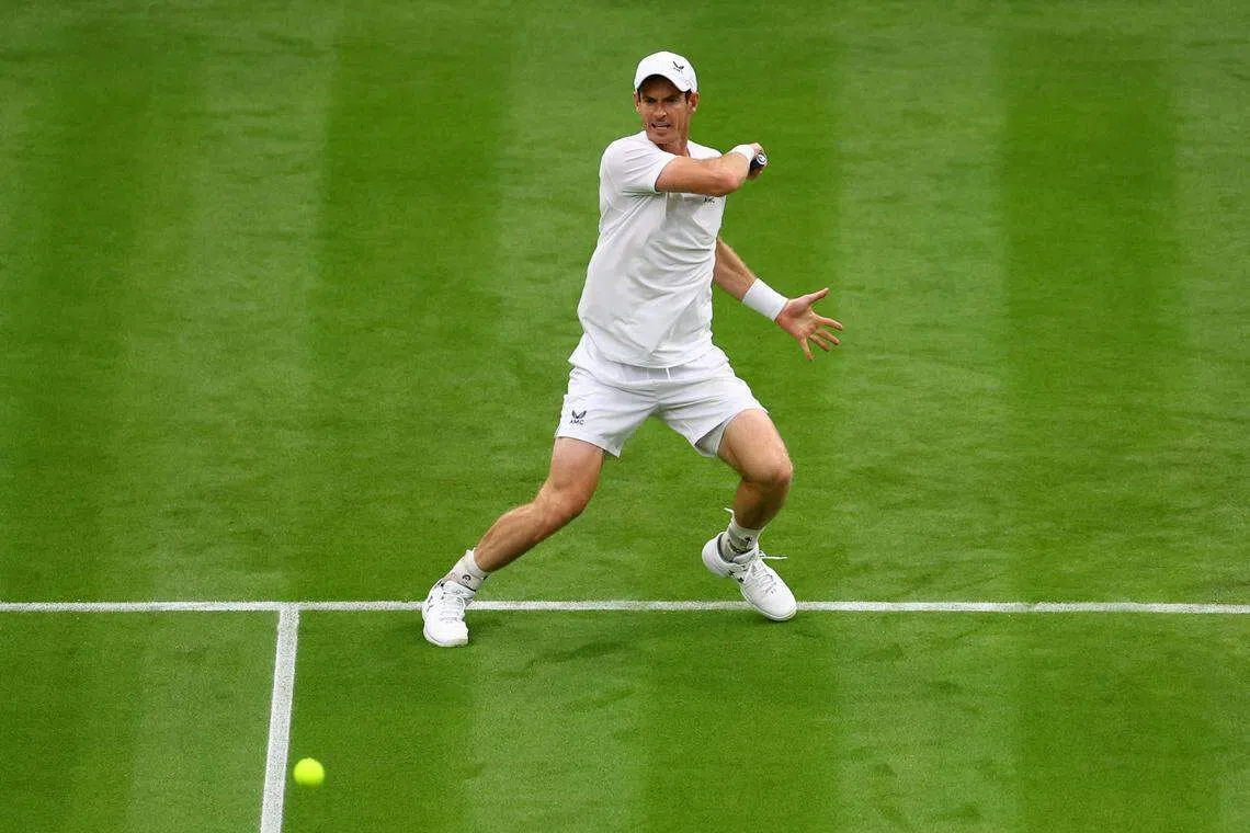 英国好手默里轻松晋级次轮。（路透社）