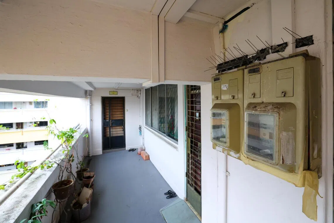 住在涉事单位隔壁的居民自行给电表箱加装防鸟刺。（林明顺摄）