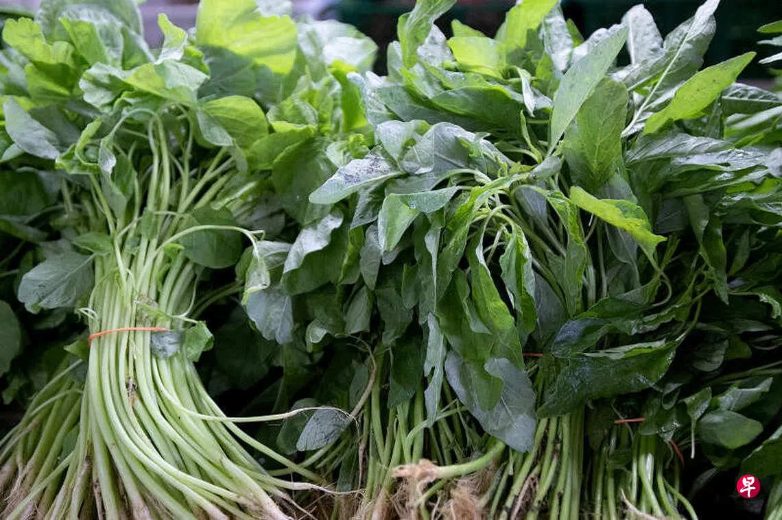 传蔬菜价格暴涨200% 马国贸消部将多管齐下稳定物价| 联合早报