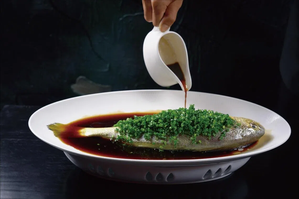 葱油东海特大黄鱼，选用东海野生黄鱼，轻蒸至恰到好处，再浇上滚烫葱油，尽显鱼肉鲜甜本味。（餐馆提供）