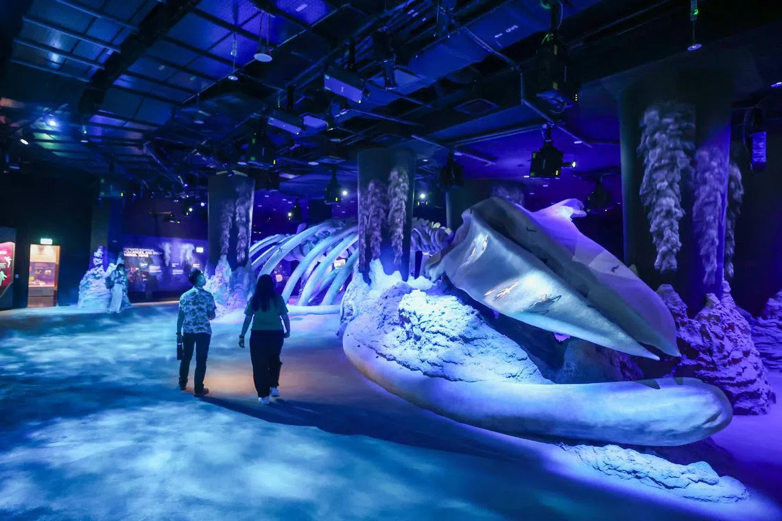 “鲸落与海洋山”（Whale Fall and Sea Mount）展区，还原鲸落——鲸鱼死亡后落入深海形成的生态系统，让访客仿佛身临其境，潜入深海奇观。（白艳琳摄）